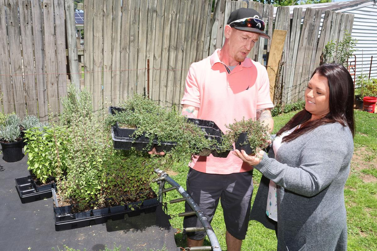 Growing Venture: Heavenly Hills Garden Specializing in Plants Not Found Locally